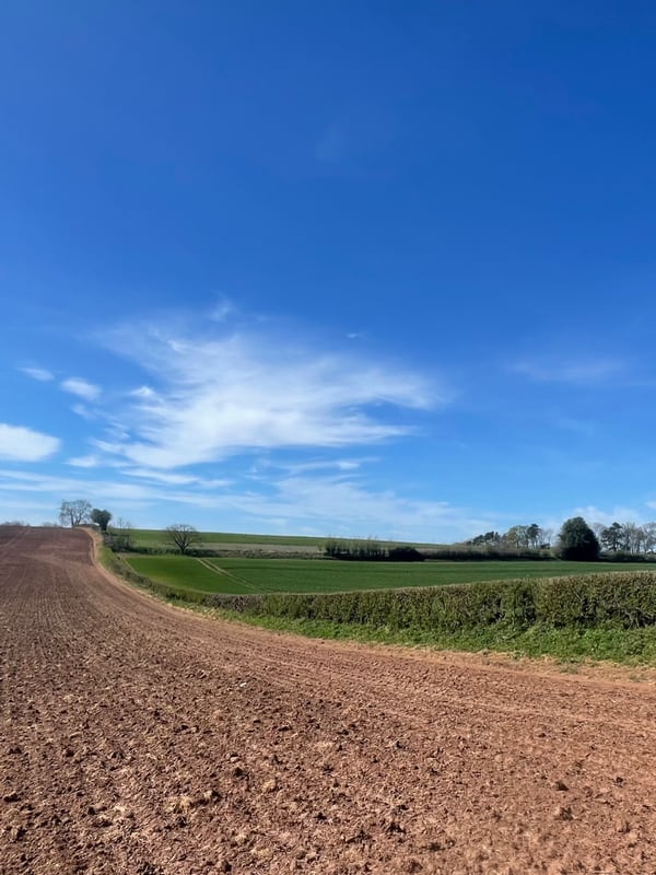 Chat with Runaway criminals, the Movie & TV character AI chatbot