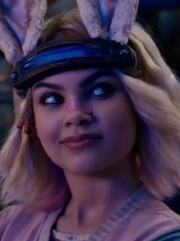 Chat with Borderlands, the  character AI chatbot