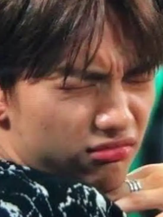 Chat with Straykids, the Anime character AI chatbot