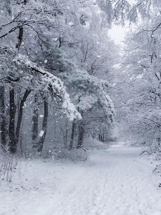 Chat with winter apocalypse rpg, the  character AI chatbot