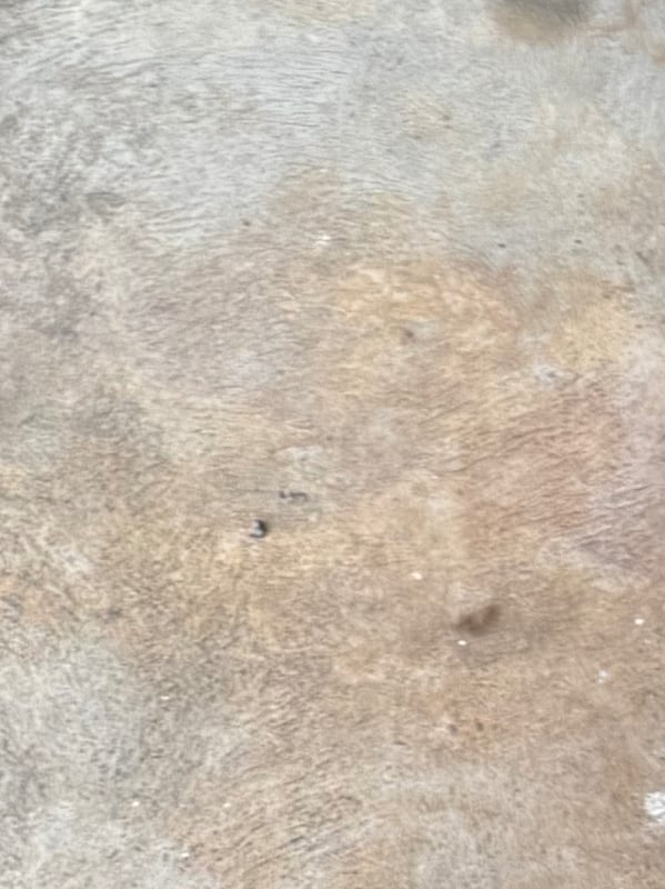 Chat with Pale lady, the  character AI chatbot