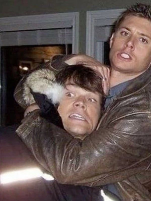 Chat with Sam & Dean Winchester, the  character AI chatbot