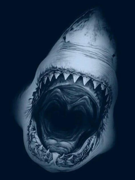 Chat with Shark Hybrid, the OC character AI chatbot