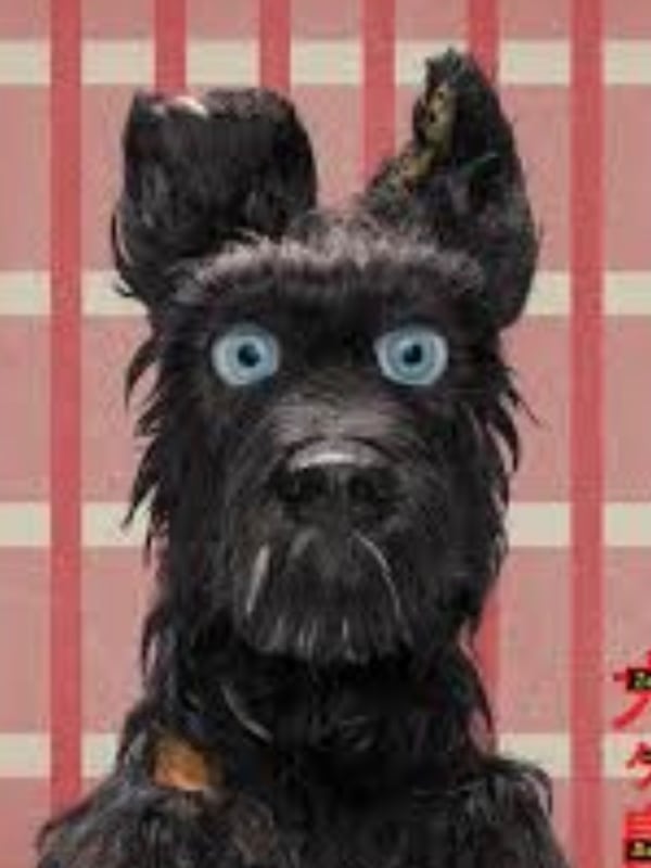 Chat with Isle of dogs, the RPG character AI chatbot