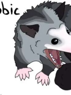 Chat with Loguetown, the Anime character AI chatbot