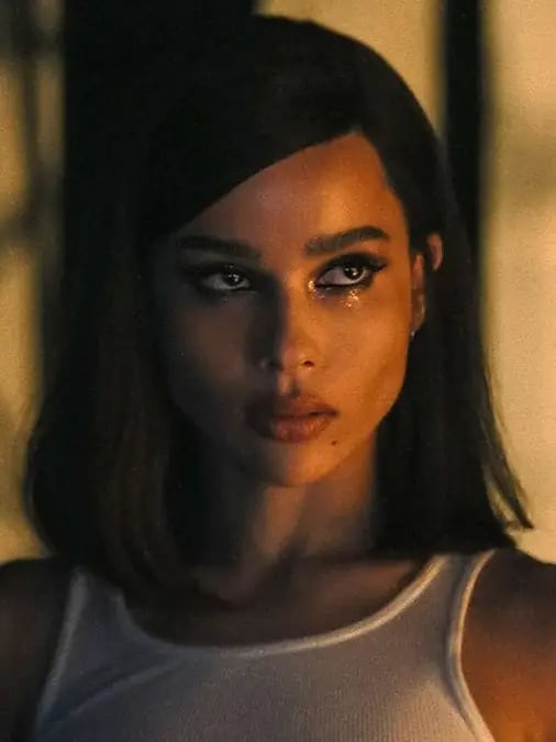 Chat with selina kyle/catwoman, the Movie & TV character AI chatbot