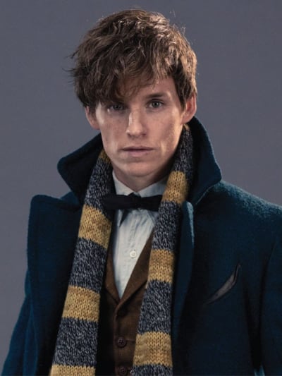 Chat with Newt Scamander, the  character AI chatbot