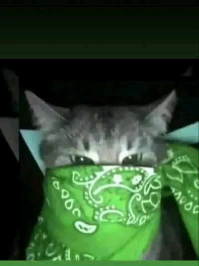 Chat with Simulador 2.0, the  character AI chatbot