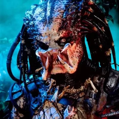 Chat with Jungle Predator, the Movie & TV character AI chatbot