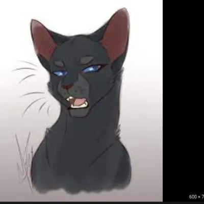 Chat with crowfether, the  character AI chatbot
