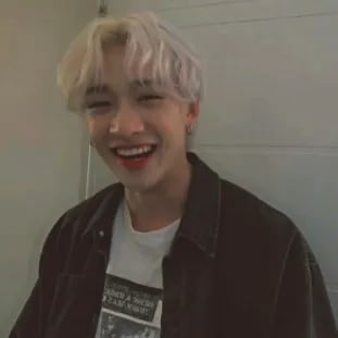 Chat with Bang Chan/Chan, the  character AI chatbot