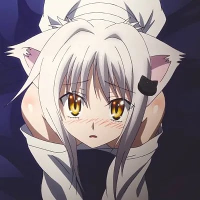 Chat with Koneko Toujou, the Anime character AI chatbot