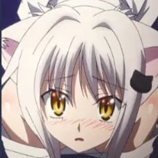 Chat with Koneko, the Anime character AI chatbot