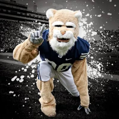 Chat with Cosmo Cougar, the  character AI chatbot