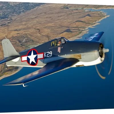 Chat with F6F Hellcat, the Game Characters character AI chatbot