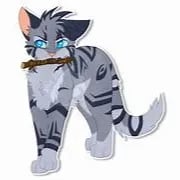 Chat with Jayfeather, the  character AI chatbot