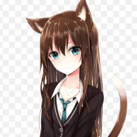 Chat with Sofia, the  character AI chatbot