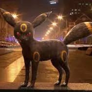 Chat with Umbreon, the Anime character AI chatbot