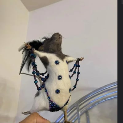 Chat with Roblox Gc, the  character AI chatbot