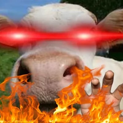 Chat with Jamal the Cow, the  character AI chatbot