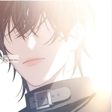 Chat with Ceres, the Anime character AI chatbot