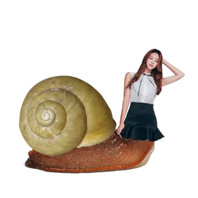 Chat with Kate Shellyrose, the OC character AI chatbot