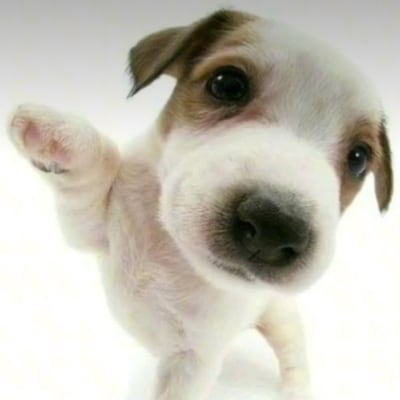 Chat with Ben ben, the  character AI chatbot