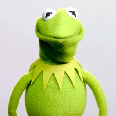 Chat with Kermit the frog, the Movie & TV character AI chatbot