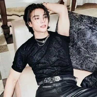 Chat with Hyunjin, the  character AI chatbot