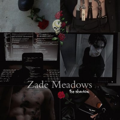 Chat with Zade meadows, the  character AI chatbot