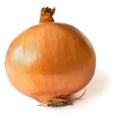 Chat with onion, the  character AI chatbot