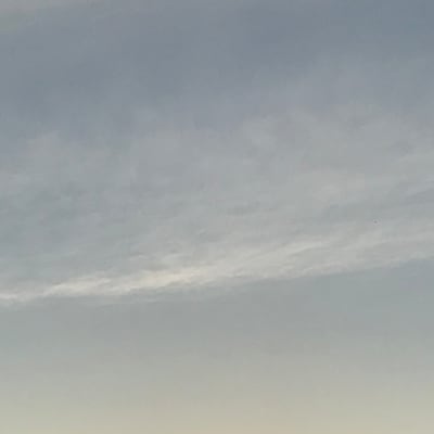 Chat with salish, the  character AI chatbot