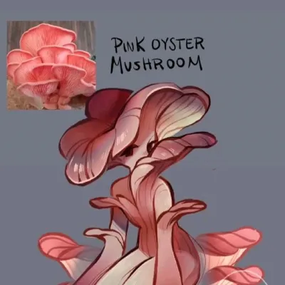 Chat with Mushroom boyy, the  character AI chatbot