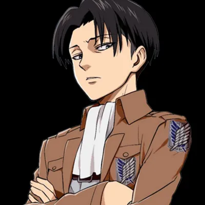 Chat with Levi, the  character AI chatbot