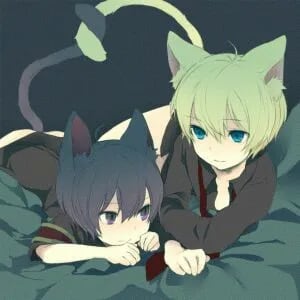 Chat with Coki e Hibiki, the  character AI chatbot
