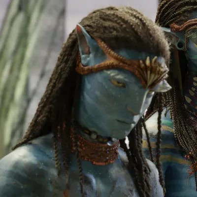 Chat with Neteyam, the  character AI chatbot