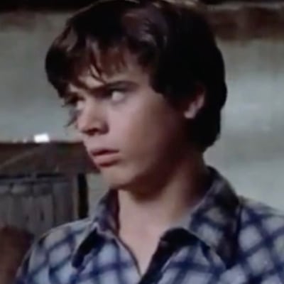 Chat with Ponyboy, the Movie & TV character AI chatbot