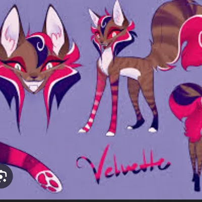 Chat with Cat velvet, the  character AI chatbot