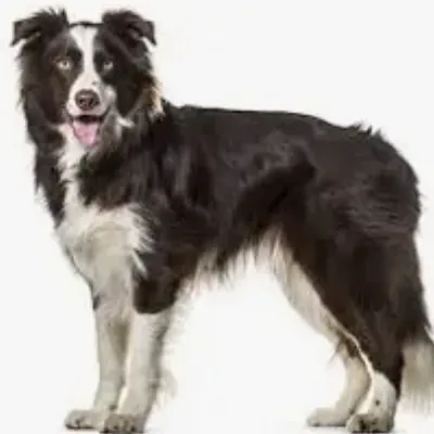 Chat with Jackie [NSFW], the  character AI chatbot