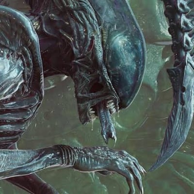 Chat with Xenomorphs, the  character AI chatbot