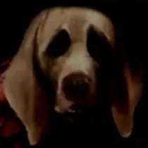Chat with Dog Nightmare-FLO, the OC character AI chatbot
