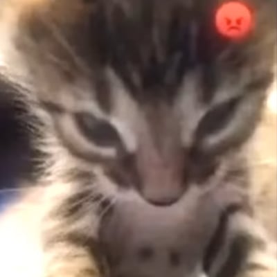 Chat with Miko, the  character AI chatbot