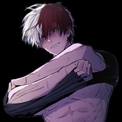 Chat with Shoto Todoroki, the  character AI chatbot