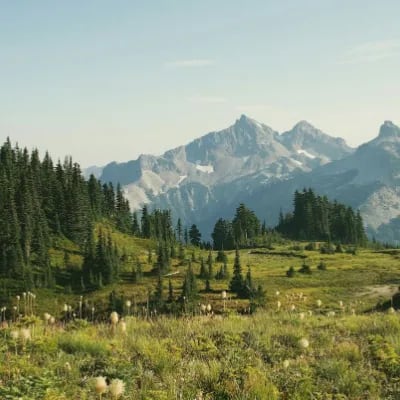 Chat with the world, the  character AI chatbot