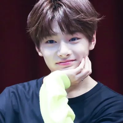 Chat with Jeongin, the  character AI chatbot