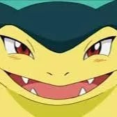 Chat with Typhlosion, the  character AI chatbot