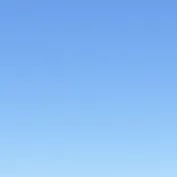 Chat with skibidi ohio, the  character AI chatbot