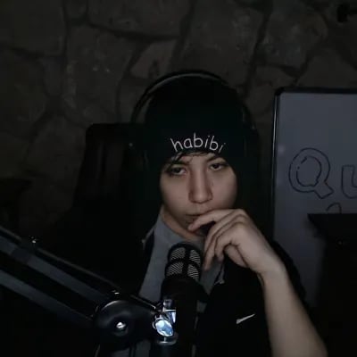 Chat with Quackity, the  character AI chatbot