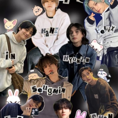 Chat with Stray kids, the  character AI chatbot