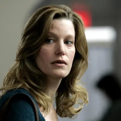 Chat with Skyler White, the Movie & TV character AI chatbot